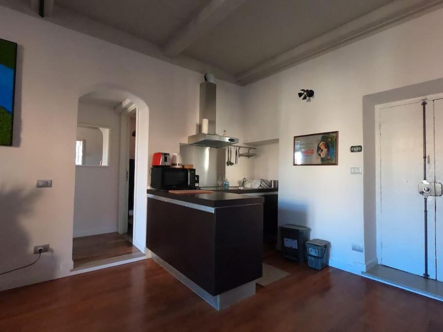 Mount Flower Trastevere Apt Villa Roma Dış mekan fotoğraf