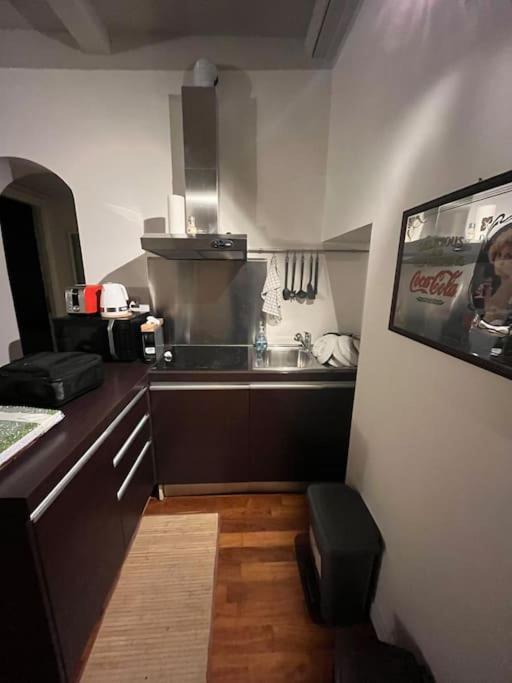 Mount Flower Trastevere Apt Villa Roma Dış mekan fotoğraf